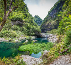 Üppig bewachsene Felsenschlucht mit klarem, grünlich schimmerndem Naturpool.