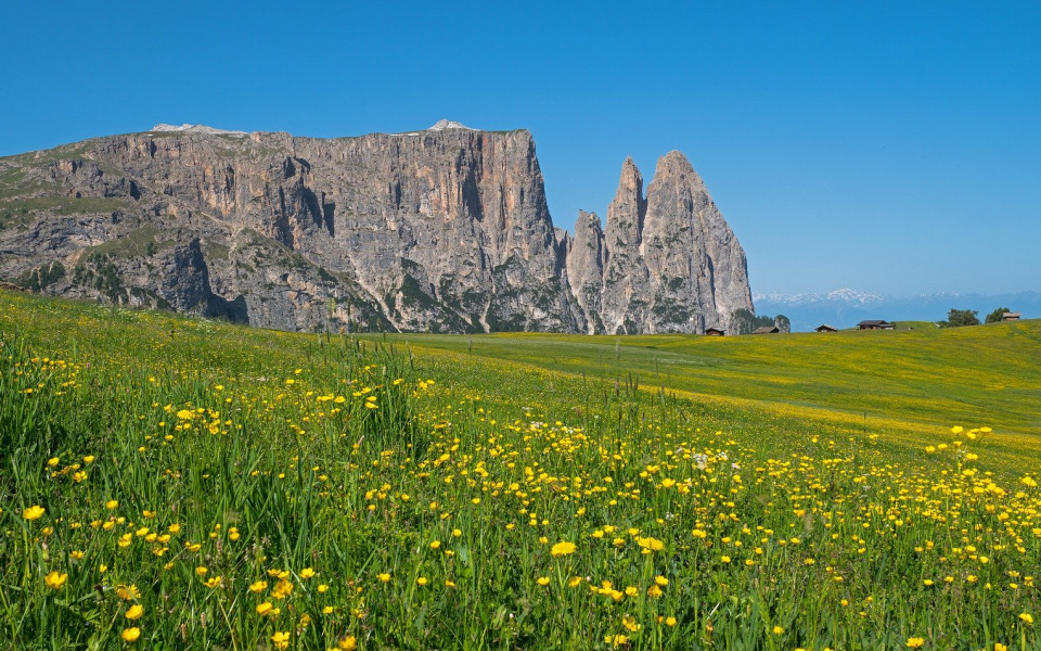 Wiesen- und Felslandschaft in S&uuml;dtirol