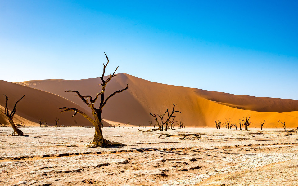 W&uuml;ste in Namibia