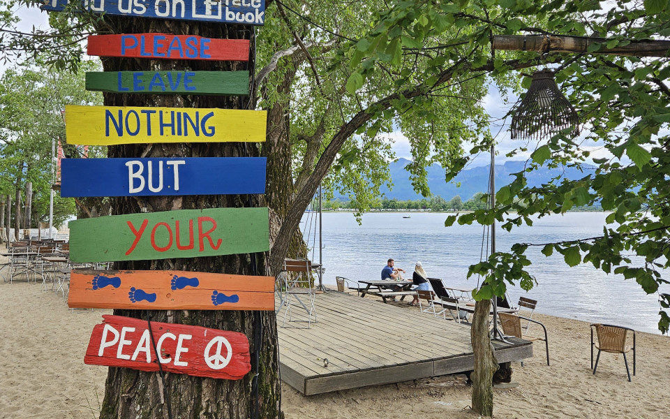 Bunte Schilder an einem Baum am Chiemsee, die zum Umweltschutz und zum Frieden aufrufen, mit einer entspannten Strandbar im Hintergrund.