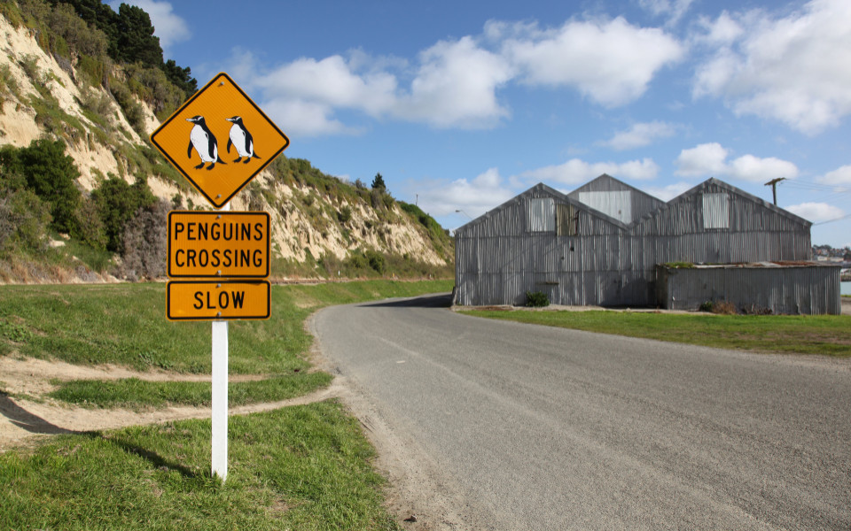 Pinguin-Kreuzungsschild in Oamaru in Neuseeland