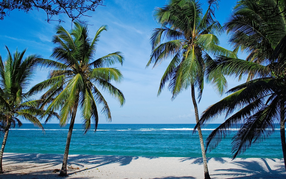 Tiwi Beach in Kenia, mit Palmen und türkisfarbenem Wasser, das sanft an den weißen Sandstrand plätschert.